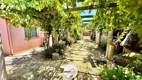 Terreno 5.000 M2 En Venta, La Florida - Miniatura 3