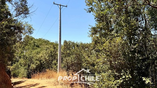 Terreno En Lo Orozco, Casablanca Para Tu Proyecto Soñado
