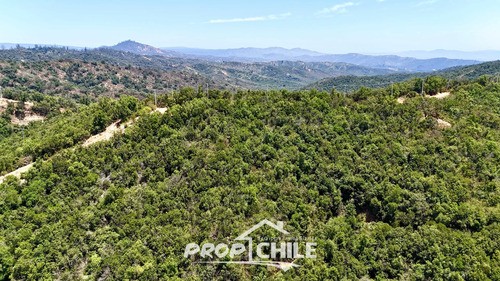 Terreno En Lo Orozco, Casablanca Para Tu Proyecto Soñado - Miniatura 6
