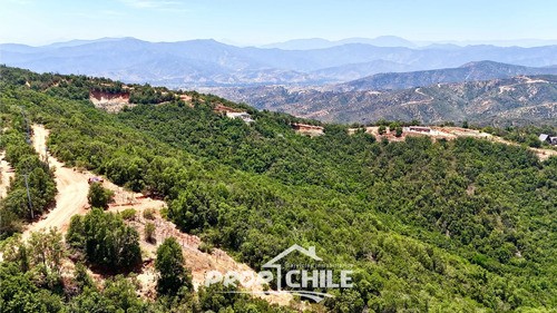 Terreno En Lo Orozco, Casablanca Para Tu Proyecto Soñado - Miniatura 2