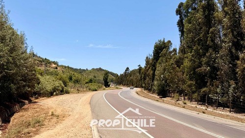 Terreno En Lo Orozco, Casablanca Para Tu Proyecto Soñado - Miniatura 3