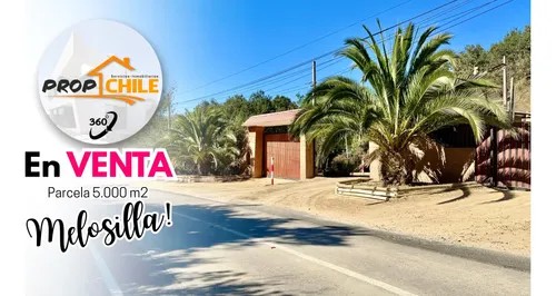 En Venta Parcela 5.000 M2, Melosilla, Valparaíso