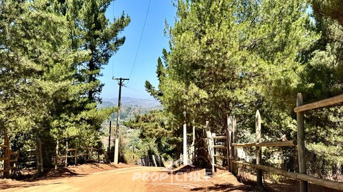 En Venta Parcela 5.000 M2, Melosilla, Valparaíso - Miniatura 3