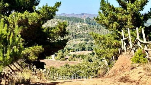 En Venta Parcela 5.000 M2, Melosilla, Valparaíso - Miniatura 4