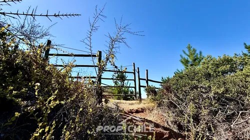 En Venta Parcela 5.000 M2, Melosilla, Valparaíso - Miniatura 5
