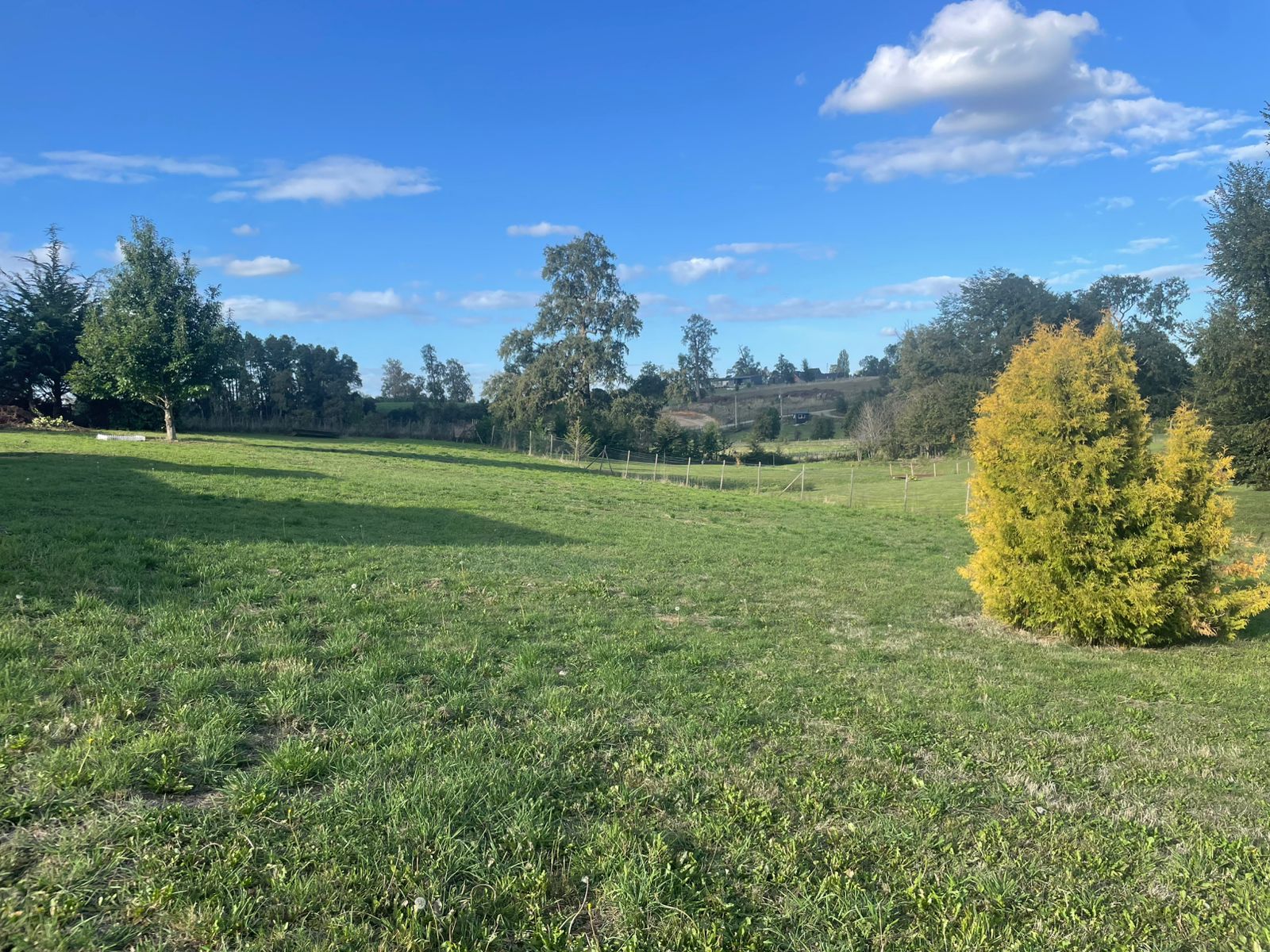 Casa nueva en parcela de 5.000 m² en Osorno, Las Quemas 2