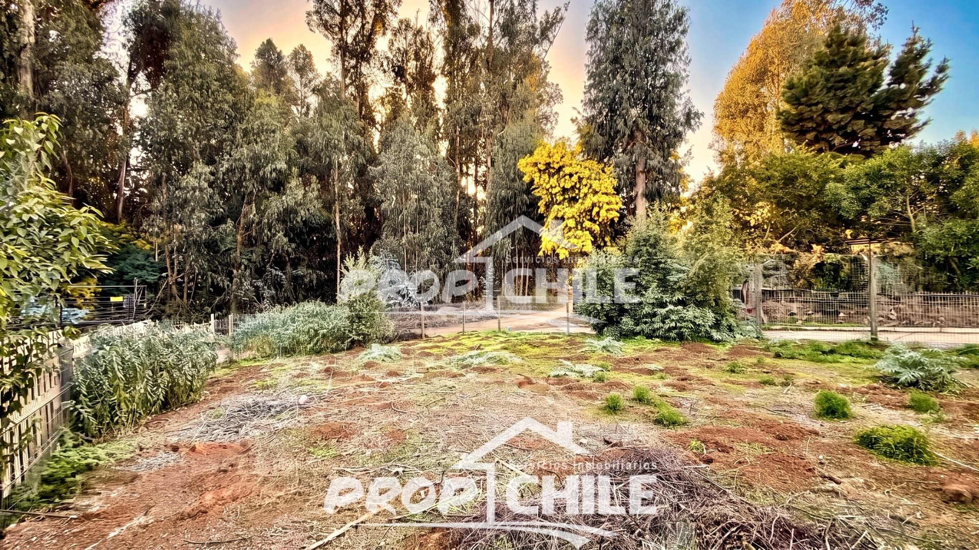 VENTA Terreno Los Pinos, Reñaca, Viña del Mar - Miniatura 5