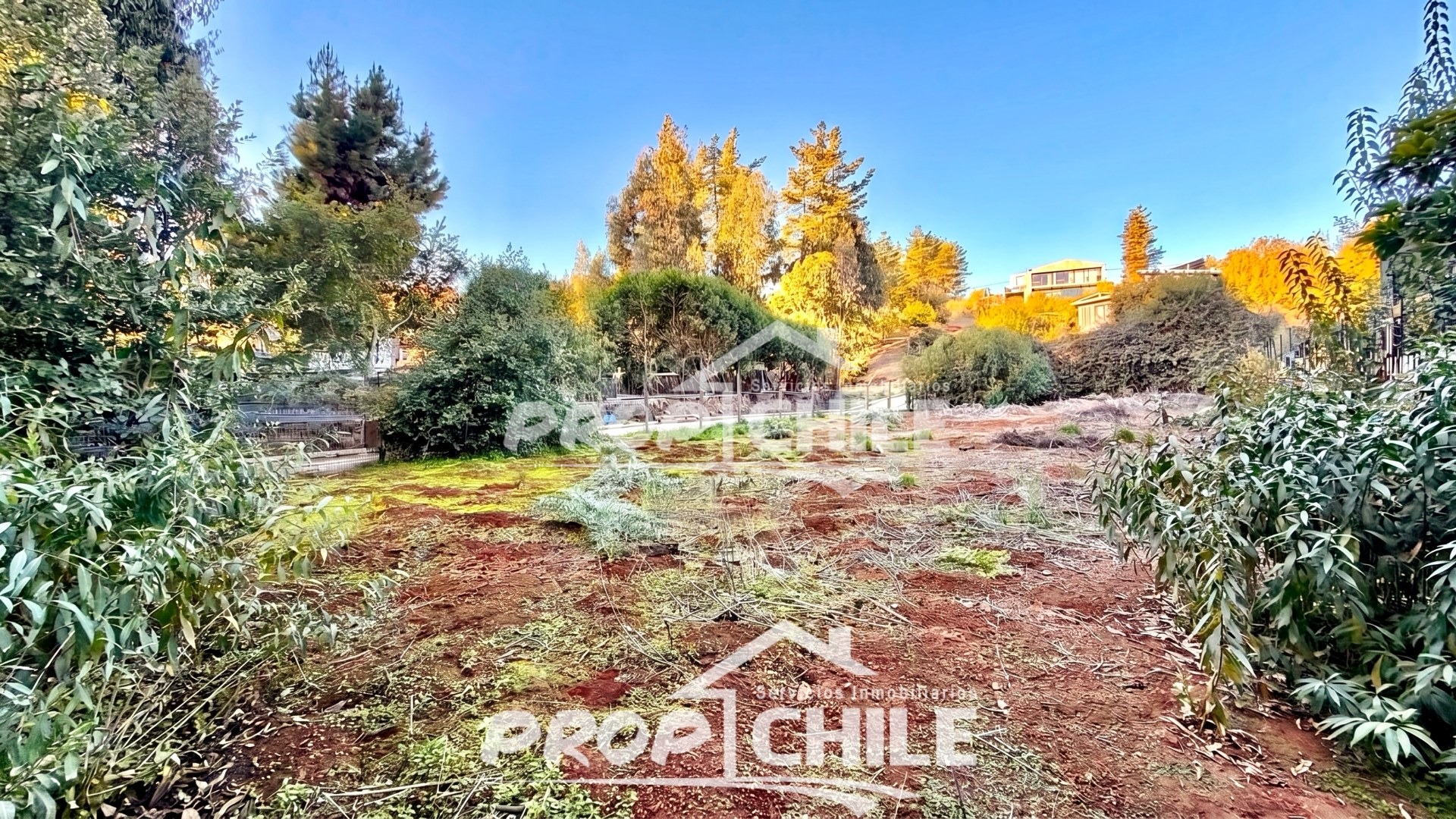 VENTA Terreno Los Pinos, Reñaca, Viña del Mar - Miniatura 6