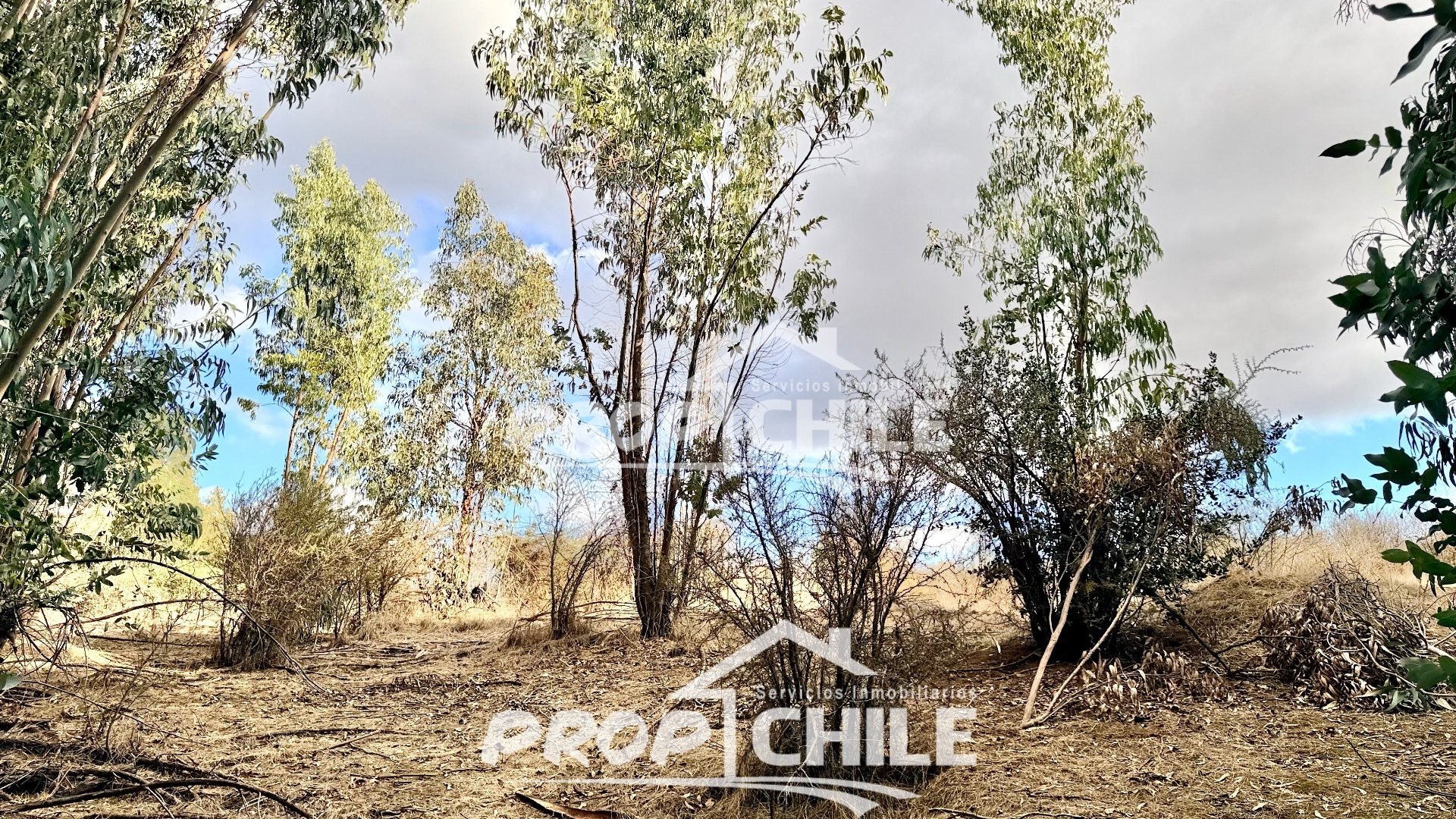 VENTA Terreno Industrial, Villa Alemana - Miniatura 5