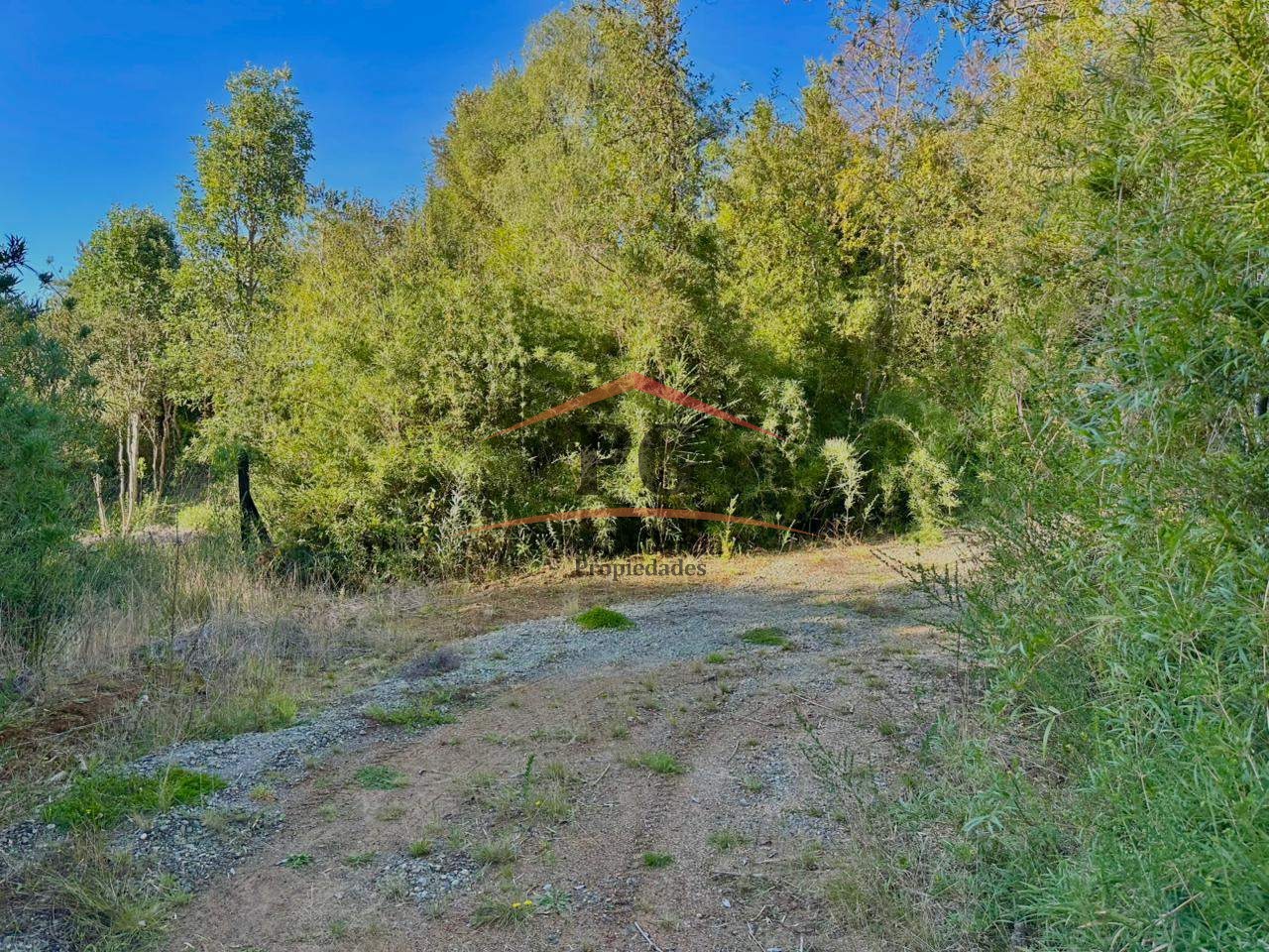 Terreno de Media Hectárea en Chancoyan Alto 3