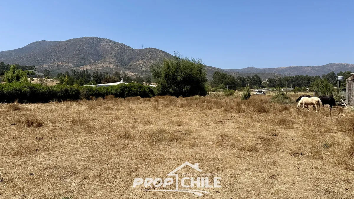 Venta Parcela Valle Alegre, Puchuncaví - Miniatura 5