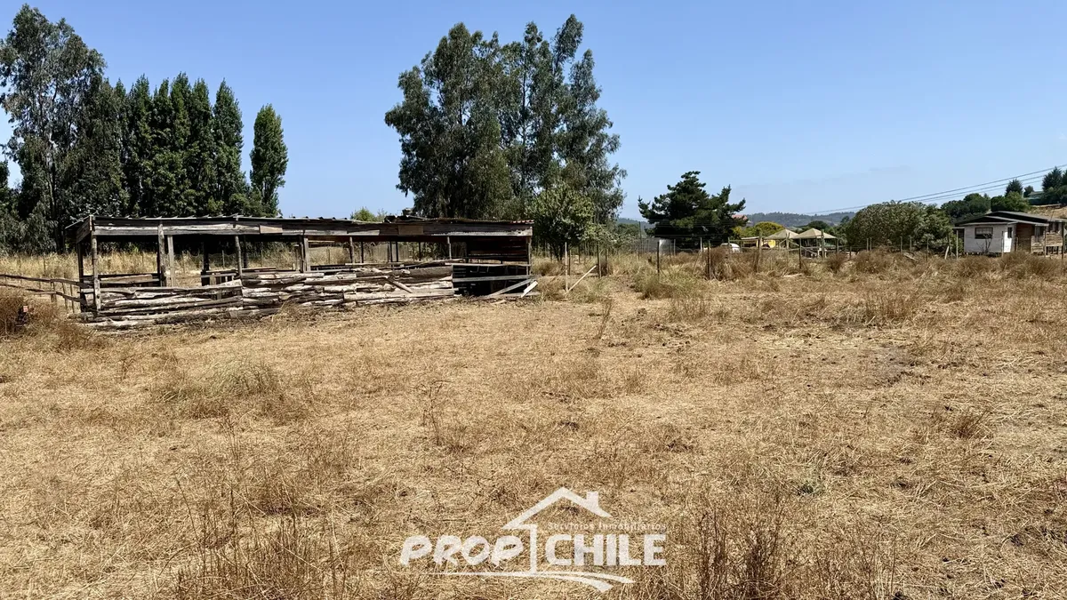 Venta Parcela Valle Alegre, Puchuncaví - Miniatura 6