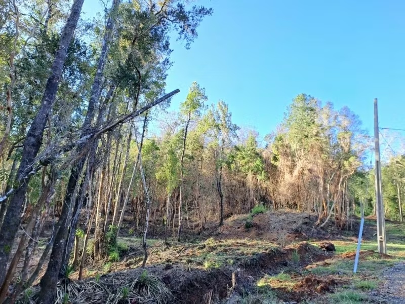 LINDA PARCELA SECTOR PICHIHUAPE 5