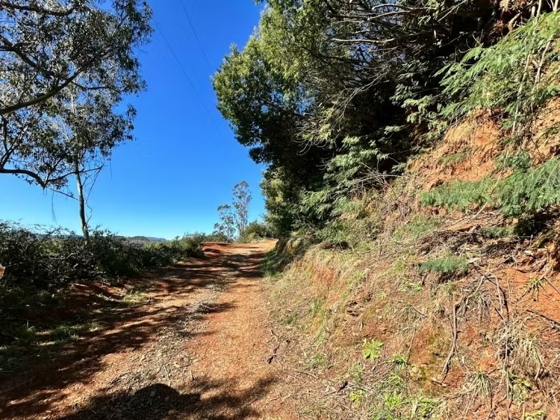 Lotes y Terrenos Valdivia 5