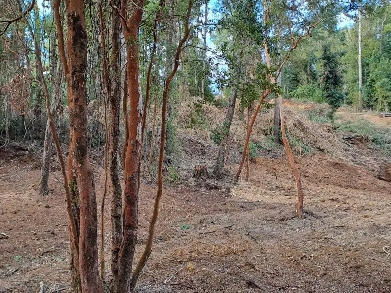 LINDA PARCELA SECTOR PICHIHUAPE