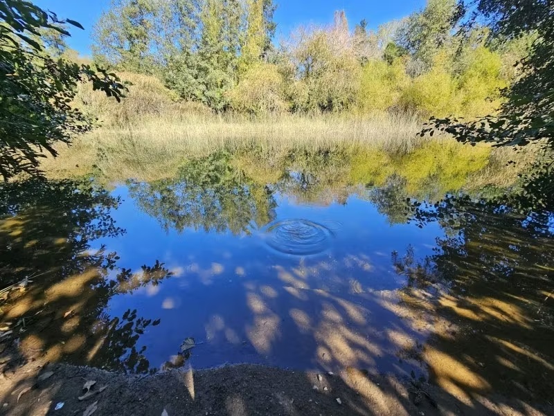 HERMOSA CASA DE UN PISO ORILLA DE RIO SECTOR ARIQUE 2