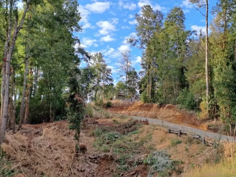 LINDA PARCELA SECTOR PICHIHUAPE 3