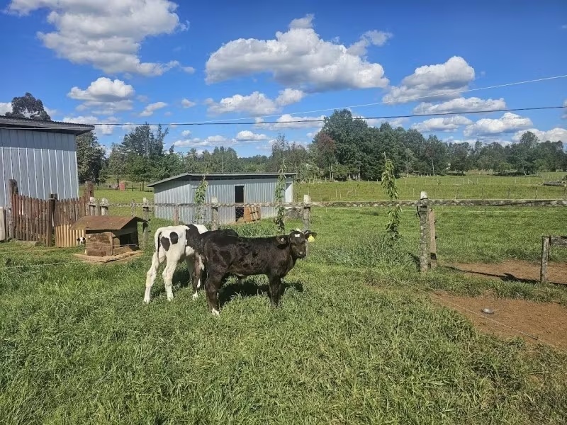 LINDA CASA DE CAMPO EN LOS LAGOS 2