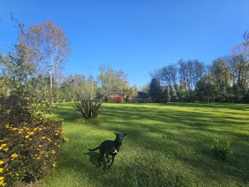 Hermosa casa Estilo campestre en media hectárea Quitacalzón 3